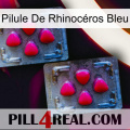 Pilule De Rhinocéros Bleu 14